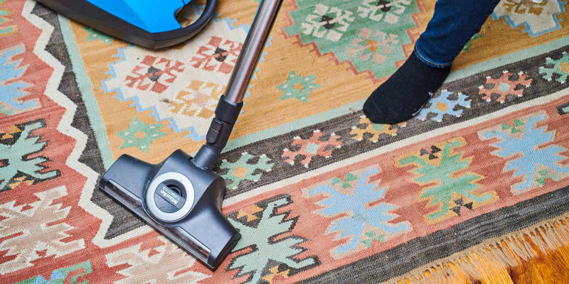 How to Clean a Rug Step by Step with Photos Apartment Therapy
