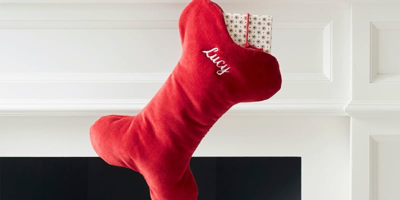Classic Velvet Bone Pet Stocking Pottery Barn Apartment Therapy