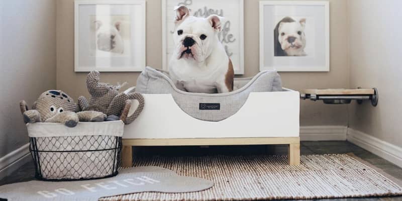 Elle decor dog bed cheap