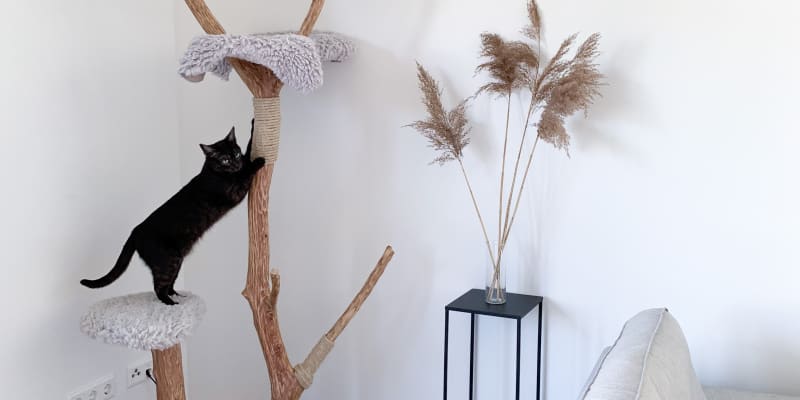 Rustic sale cat tree