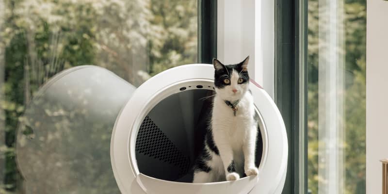 Tidy cats small spaces litter cheap