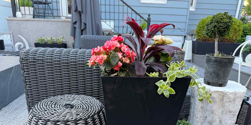 These Popular $70 Planters Are Only $20 at Costco, So I Bought 4