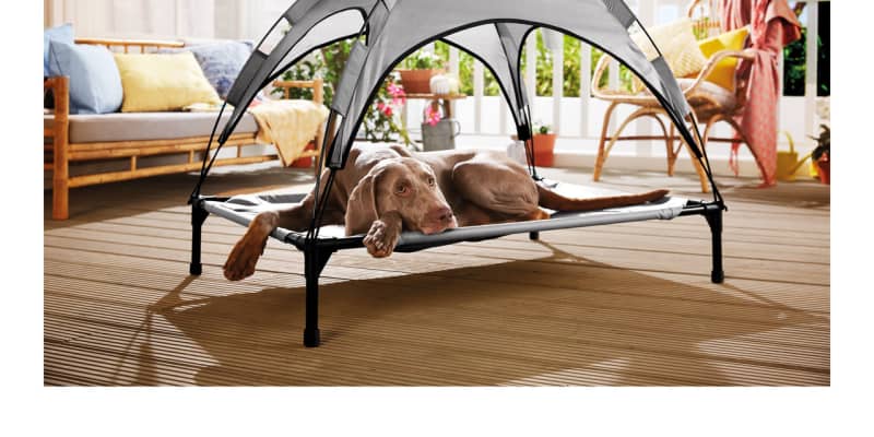 Lidl Is Selling a Dog Bed with a Sun Shade Apartment Therapy