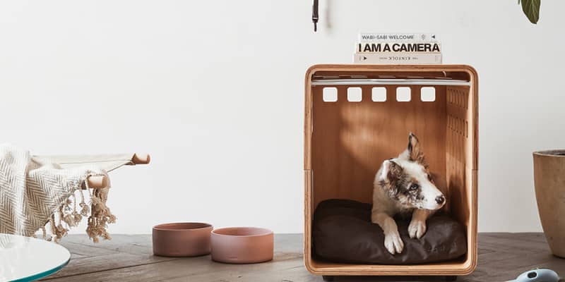 Bed bath and sales beyond dog crate