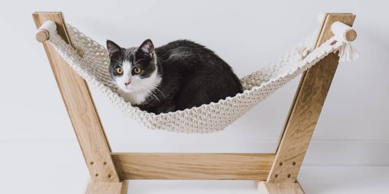 Diy macrame cat hammock top