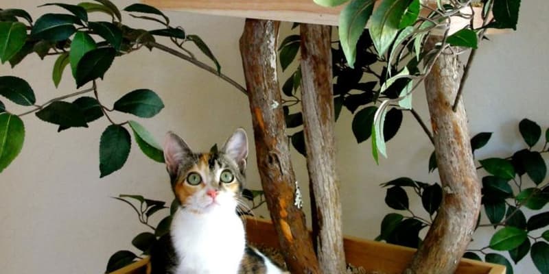 Artificial tree for cats hot sale