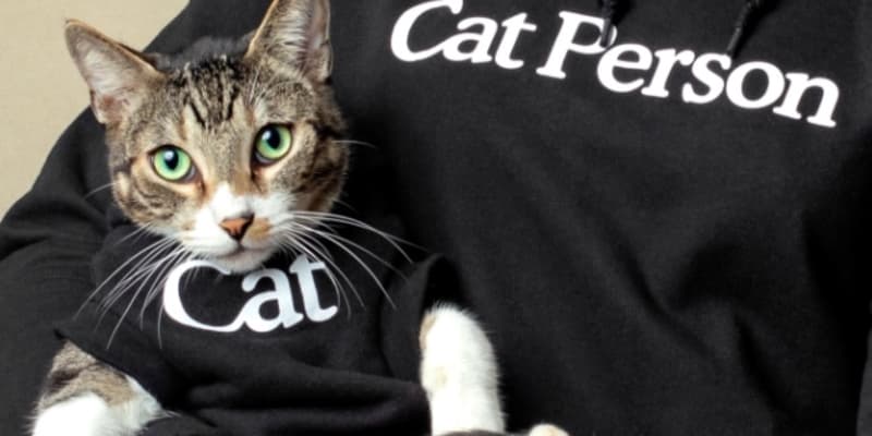 Cat Hoodie Cat Person Apartment Therapy