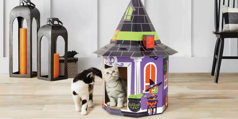 Target halloween store cat scratcher