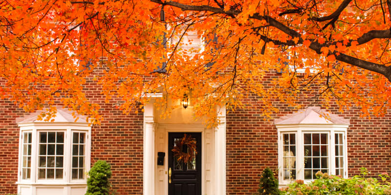 特売❗️リリパット269☆ ENGLISH GARDEN AUTUMN HUES リリパットレーン269☆ ENGLISH GARDEN AUTUMN HUES