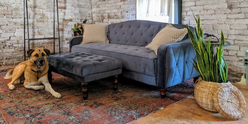 Tufted sleeper sofa sale