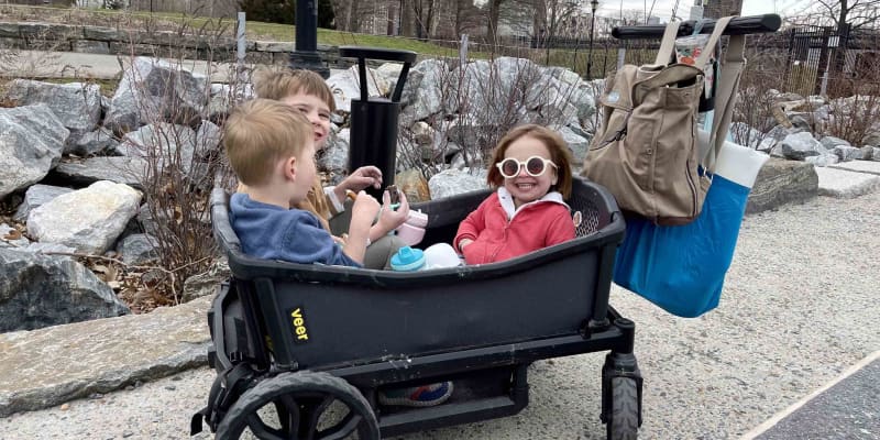 Veer push wagon discount