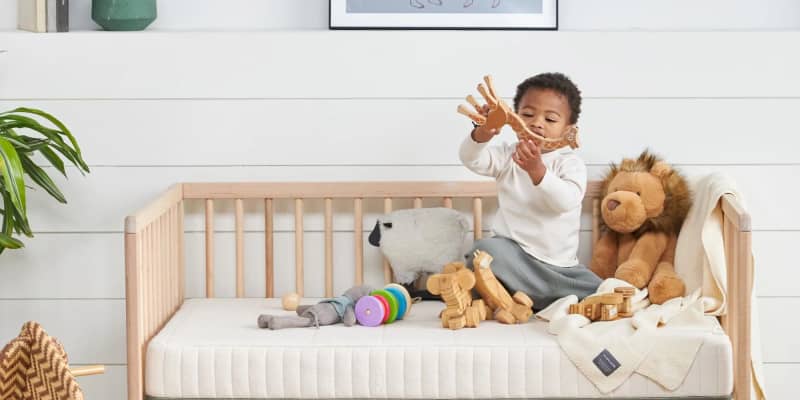 Lullaby earth harmony crib mattress 2025