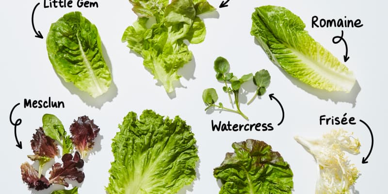 Types of Lettuce: A Visual Guide to Salad Greens | The Kitchn