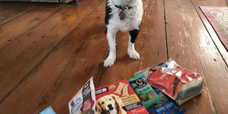 Aldi Best Dog Treats Kitchn