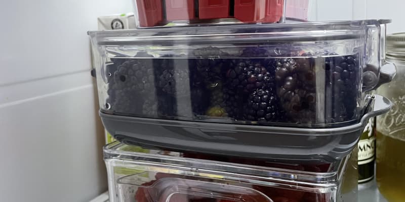 Progressive PrepWorks Small Berry ProKeeper - Shop Food Storage at
