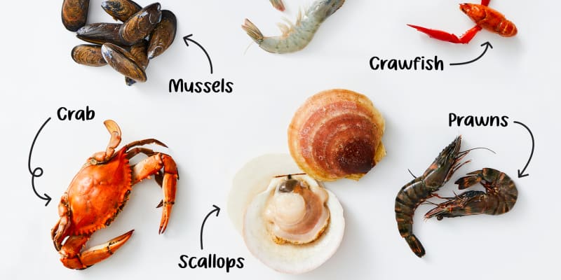 The 9 Most Popular Types of Shellfish