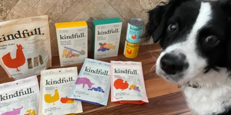Target Kindfull Pet Food Review The Kitchn