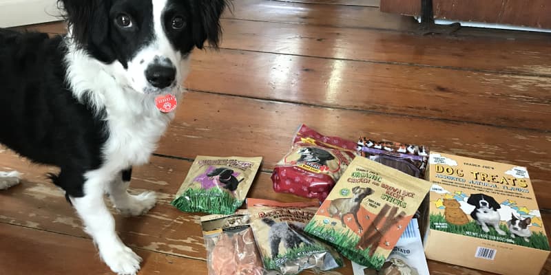Trader Joes Best Dog Treats Beef Liver Review The Kitchn