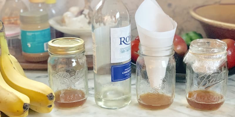 Homemade fly sales catcher solution