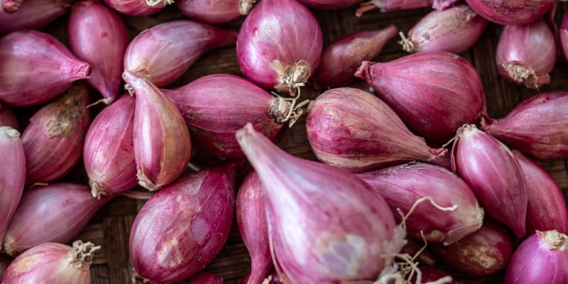 Best Shallots Substitute (9 Super Easy Shallot Alternatives To Use!)