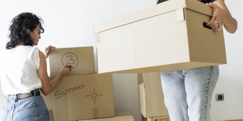 Moving and store shipping boxes