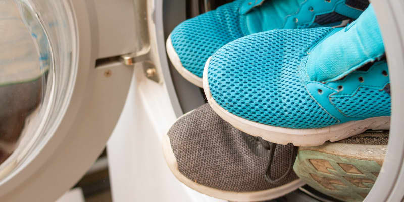 shutterstock_1732041937