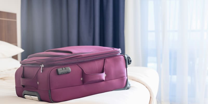 Samsonite bartlett 29 best sale