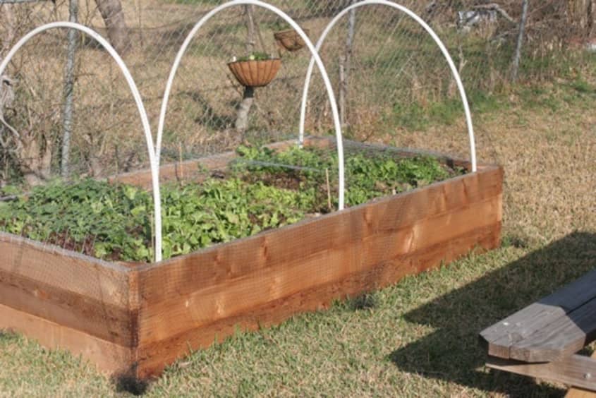 Before & After: A Raised Garden Bed