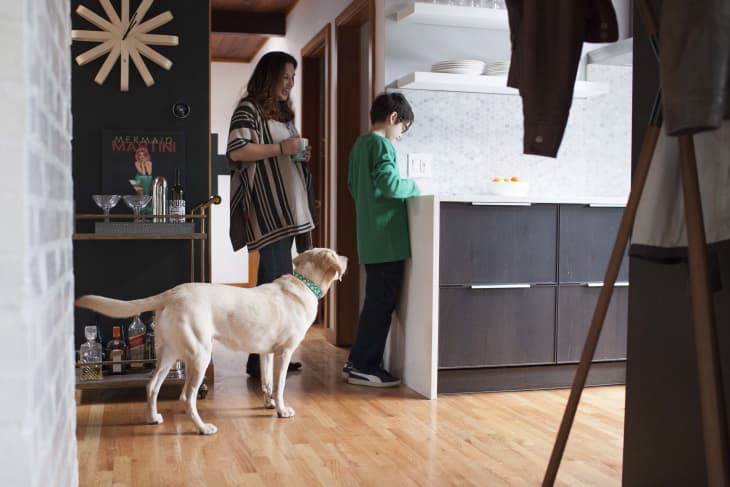 Woman and child in a kitchen with a Labrador, bar cart, and wall art.