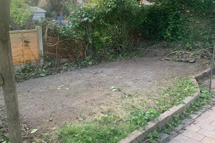Before: Empty yard