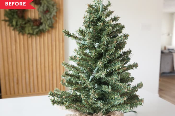 small undecorated tabletop Christmas tree with burlap root ball
