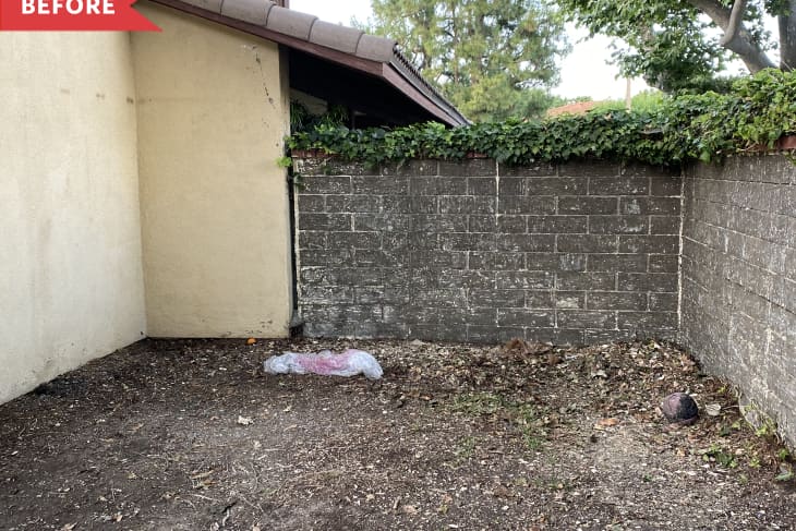 Small backyard corner with bare soil, brick wall, and ivy-covered top.
