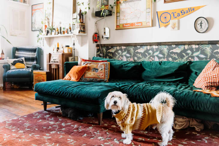 This Stylish Cabinet Has a Built-in Pet Feeding Station and Food Storage