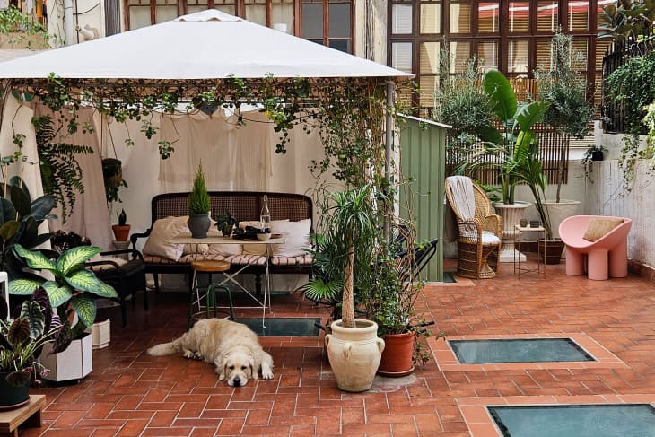A dog rests under an outdoor structure on a bricklayed patio.