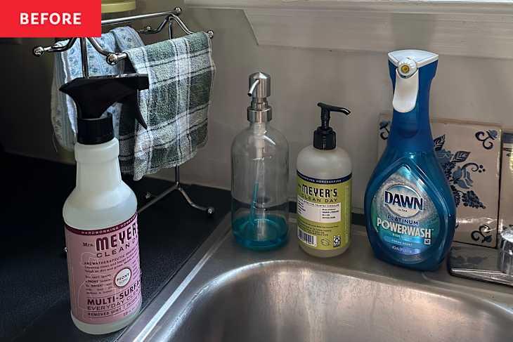 Cleaning products with labels on kitchen sink.
