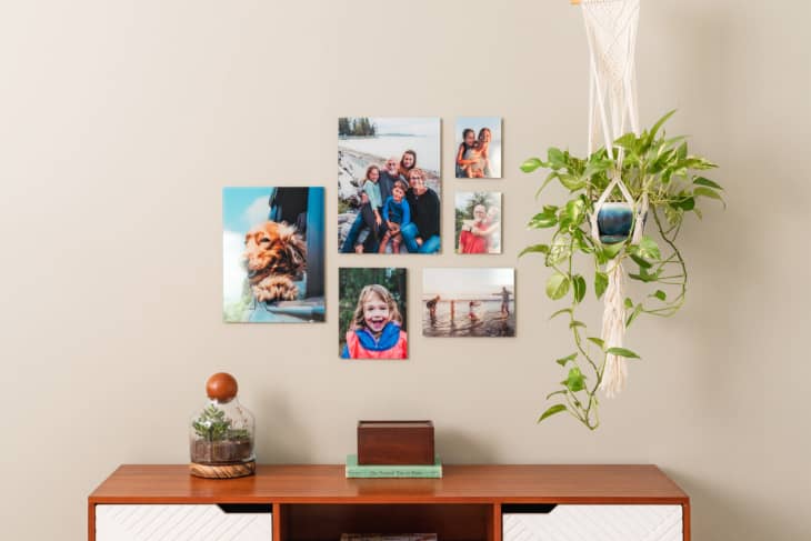 Wooden console with books and plant, wall collage of family photos, dog, and hanging plant in macramé holder.