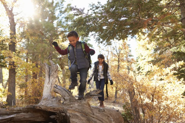Brother and sister kids walking along a fallen tree in a forest hiking
