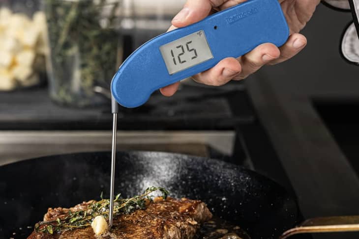 ThermoWorks Thermapen ONE Review 2023 - Tested, Photos
