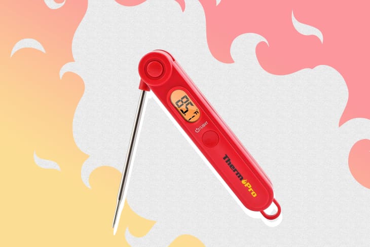 Best Affordable Kitchen Thermometer: ThermoPro Meat Thermometer