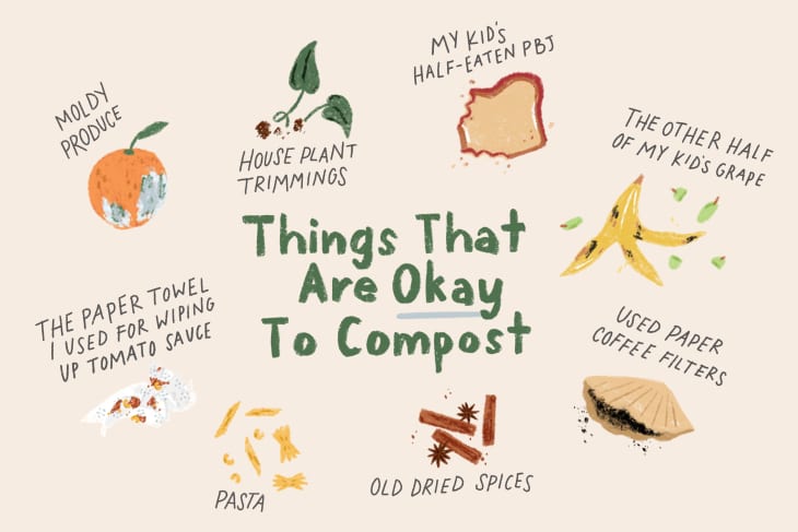 illustrations of items okay to compost