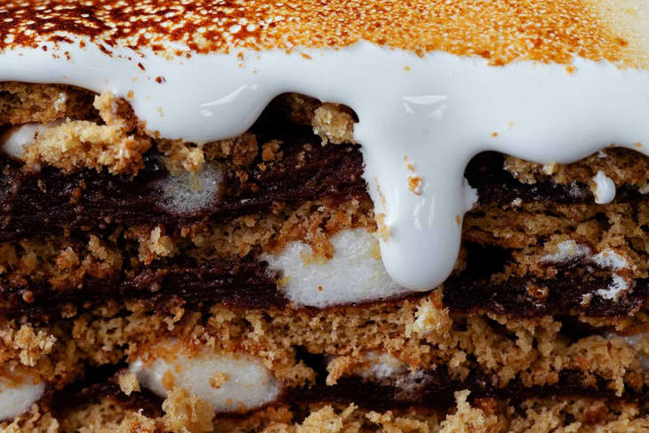 No Bake Mini S'mores Cheesecake - Sugar Salt Magic