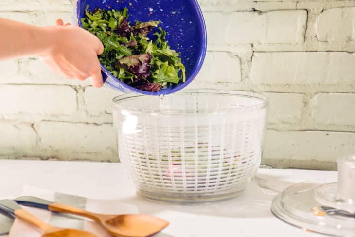 pouring wet lettuce to be dried into an OXO salad spinner