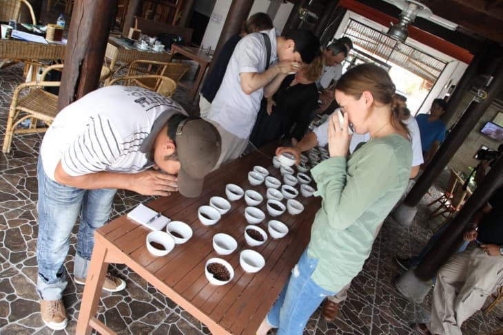 A Coffee Buyer Has The Most Glamorous (And Toughest) Job In The Coffee  World | Kitchn