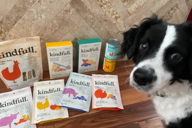 Target online puppy food