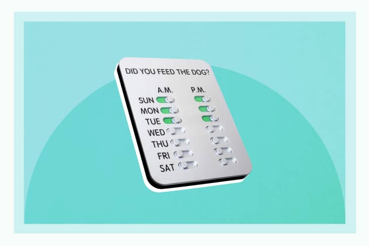 Dog feeding tracker discount