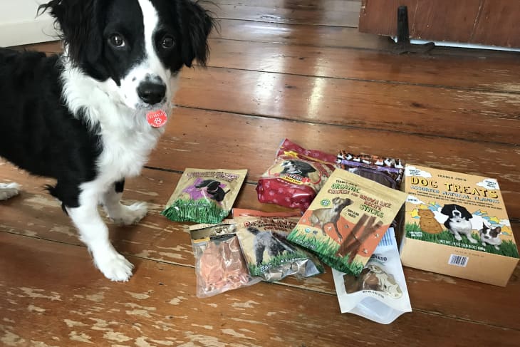 Best dog treats 2019 new arrivals