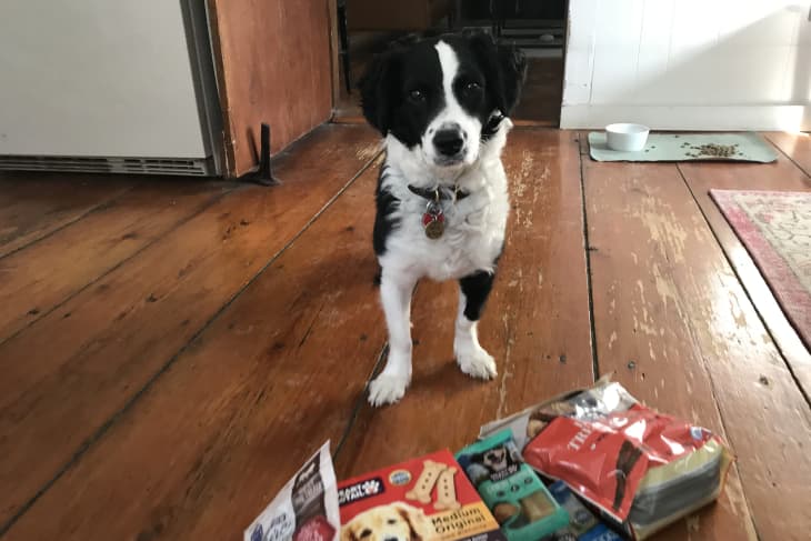 Aldi dog food heart to tail reviews sale