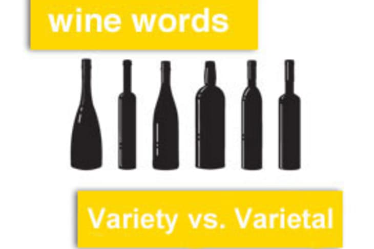 Wine Words: Variety vs. Varietal | The Kitchn