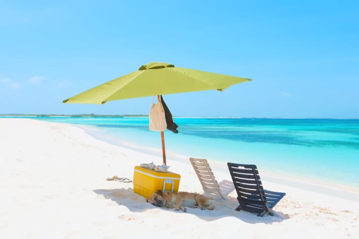 Beach cooler 2025