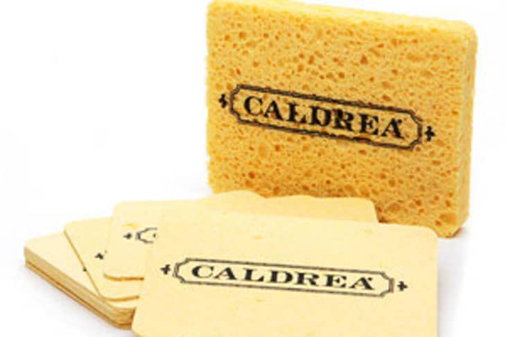 Sterilize hot sale kitchen sponge
